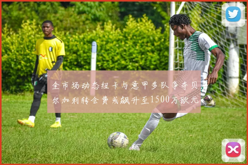 全市场动态纽卡与意甲多队争夺贝尔加利转会费或飙升至1500万欧元